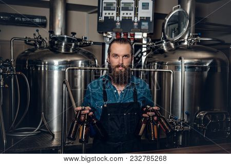 Portrait Of Tattooed, Bearded Hipster Male Manufacturer Presenting Beer In The Microbrewery.