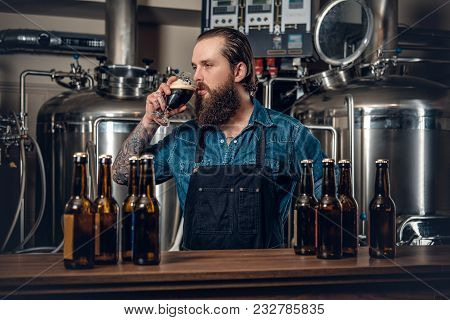 Portrait Of Tattooed, Bearded Hipster Male Manufacturer Tasting Beer In The Microbrewery.