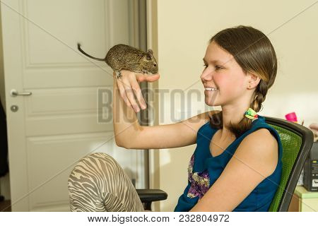 Teenage Girl Holding A Pet On Her Hand - Chilean Squirrel Degus, Love And Care For Pets