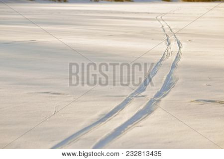 Footprints In The Snow In The Golden Hour.