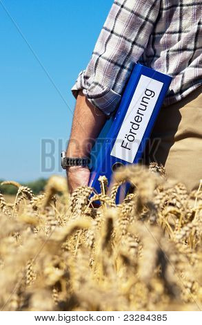 ผลงาน Bauer 