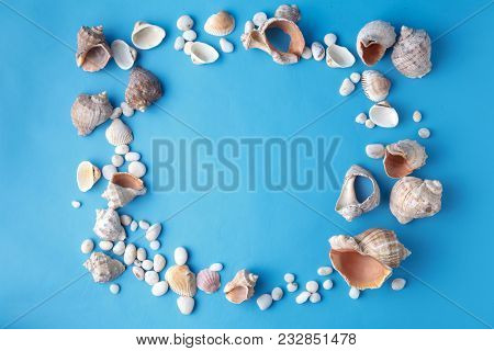 Sea Shells On Blue, Vacaton Concept On Plain Background