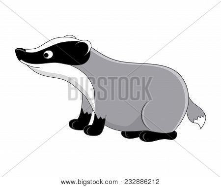 Funny Cartoon Badger. Vector Illustration.  Isolated On White Background.  Forest Animals. Woodland 