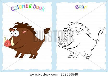 Coloring Book Page For Preschool Children With Colorful  Boar And Sketch To Color.  Children Educati