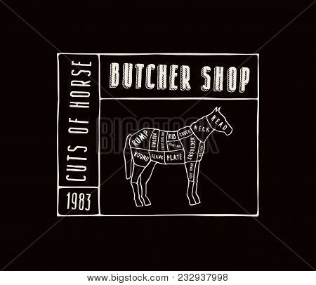 Stock Vector Horse Cuts Diagram In The Style Of Handmade Graphics. Label Template For Butcher Shop. 