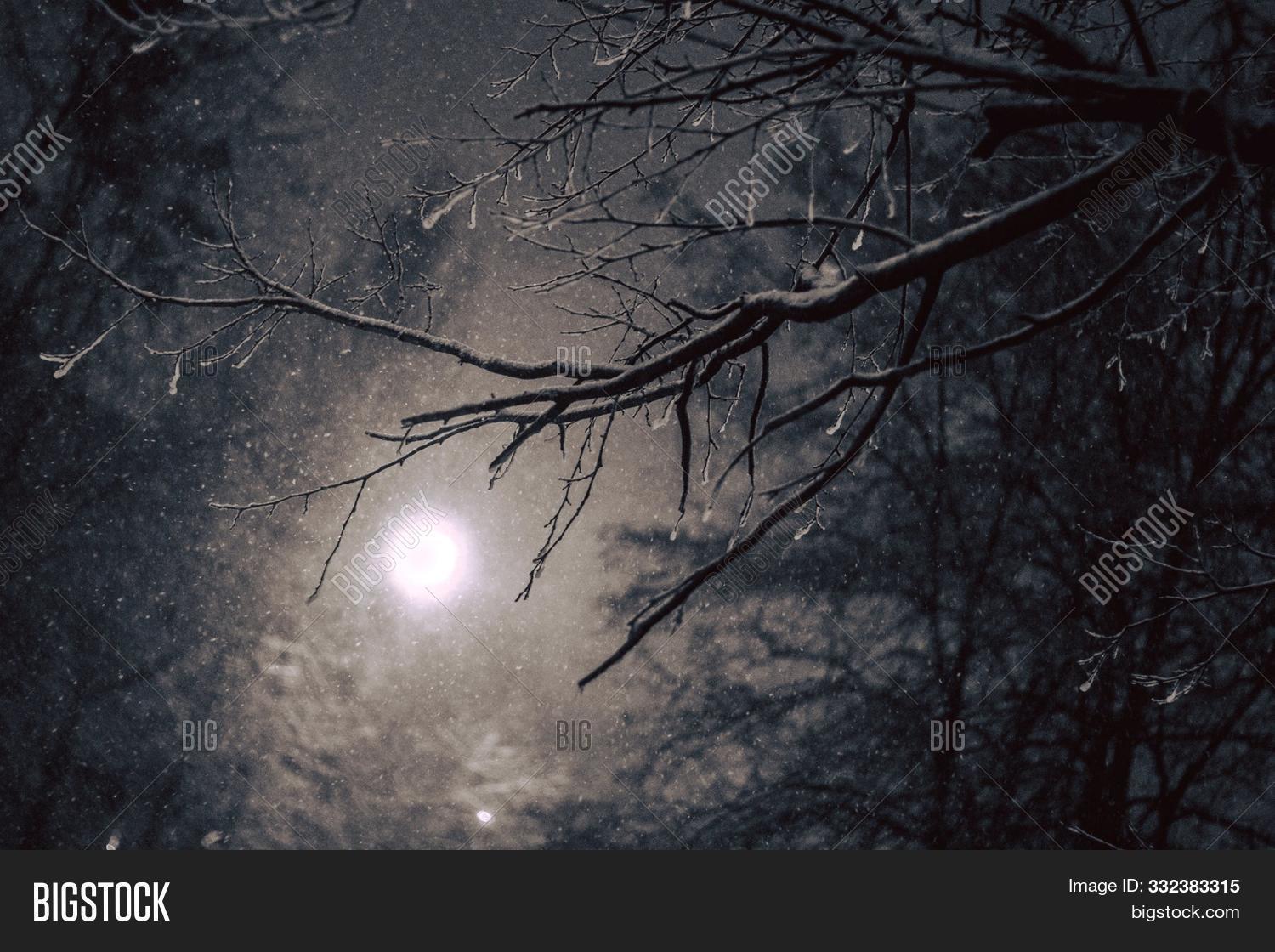 Winter Landscape Image Photo Free Trial Bigstock