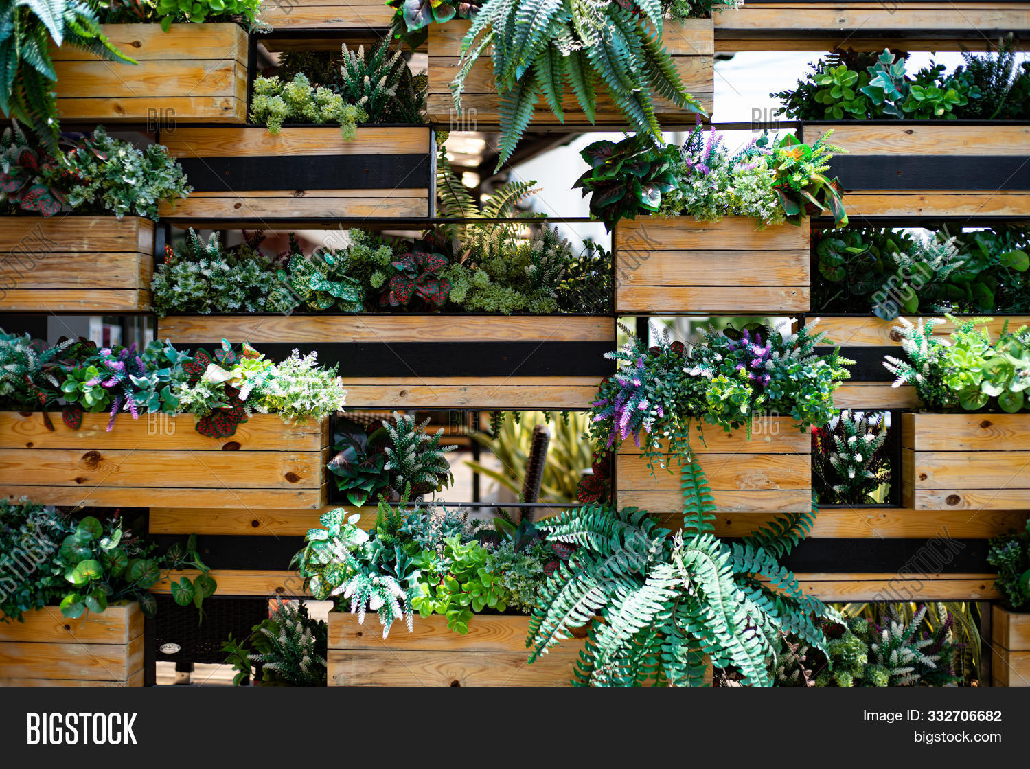 House Plant Wall Image Photo Free Trial Bigstock