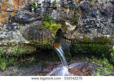 Water Flowing From A Pipe, Encrusted With Lichen And Plants