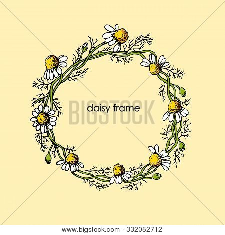 Beautiful Flowers Frame With White Daisies. Botanical Colored Vector Illustration For Your Design.