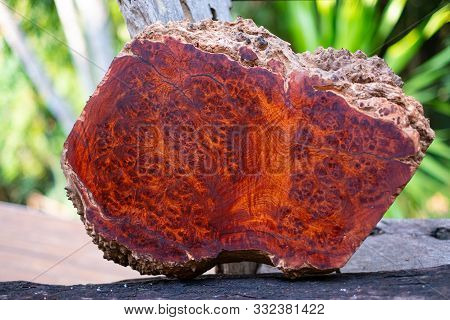 Logs Amboyna Burl Wood Striped Exotic Wooden Beautiful Pattern For Crafts Art Or Background