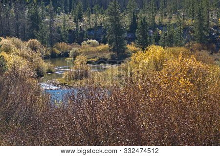 A bit of Christmas colors on Rabbit Ears Pass outside of Steamboat Springs, Colorado