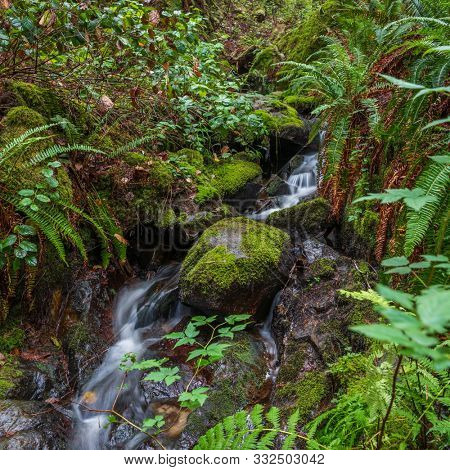 Majestic waterfall in Nakusp, Vancouver, Canada.