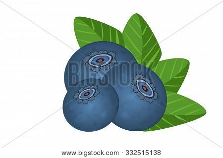 Realistic Raw Blueberries With Leaves Isolated On White Background. Sweet Fruit. Forest Berry. Ripe 