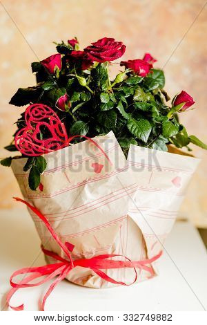 Flowers Vase Vintage Image Photo Free Trial Bigstock