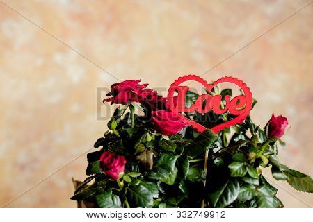 Flowers Vase Vintage Image Photo Free Trial Bigstock