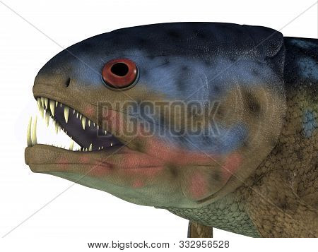 Rhizodus Fish Head 3d Illustration - Rhizodus Was A Carnivorous Fish That Lived In Freshwater Lakes 
