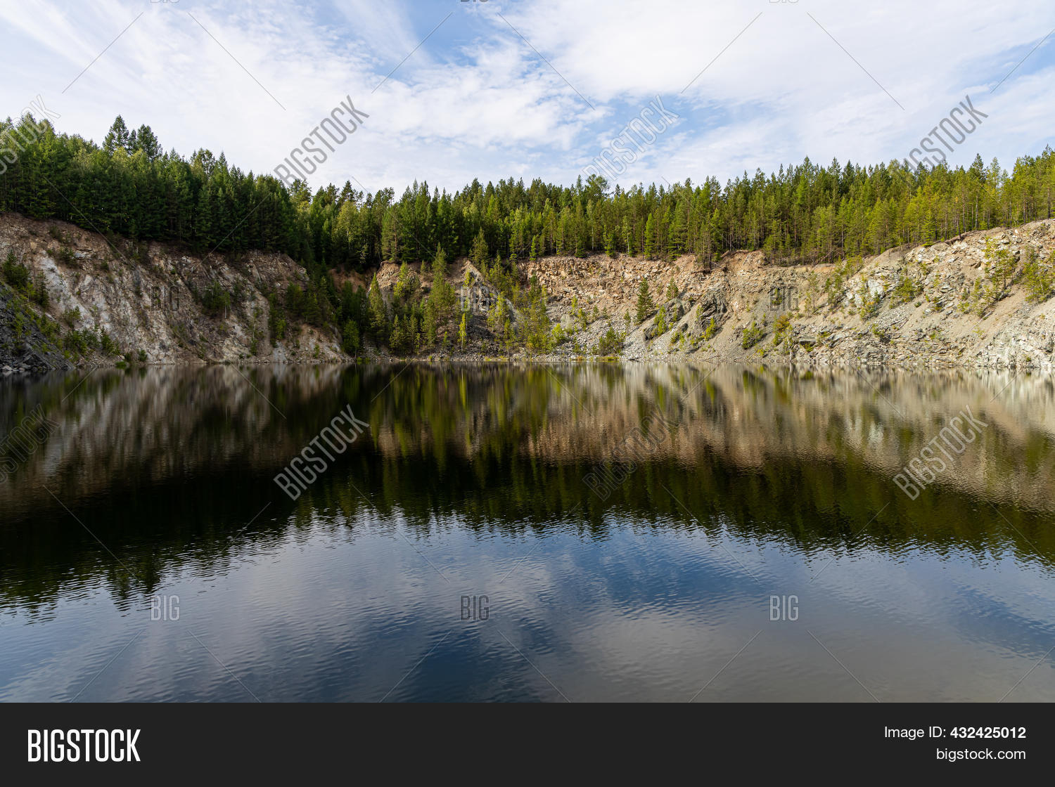 Group Small Pines By Image & Photo (Free Trial) | Bigstock