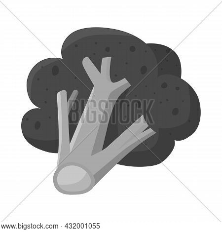 Vector Illustration Of Broccoli And Product Symbol. Collection Of Broccoli And Crop Stock Symbol For