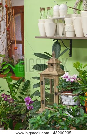 Na loja de flores