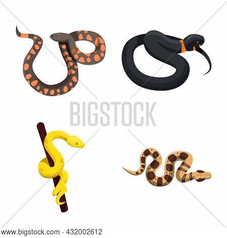 Vector Design Of Snake And Creepy Sign. Collection Of Snake And Danger Vector Icon For Stock.