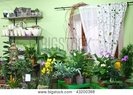 Na loja de flores