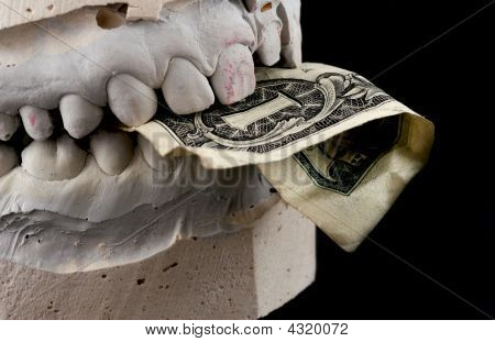Jaw Holds Usd On Black