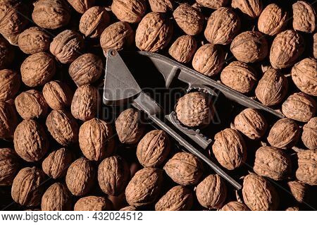 Walnut In A Nutcracker Close-up. Dark Background. Beautiful Background With Food. Healthy Ingredient