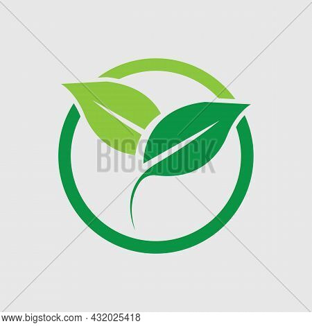 Logos Of Green Leaf Ecology Nature Element Vector
