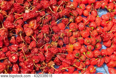 Picture Of Spicy Bhutanese Red Chilli Or Mirch With Super Chilli Background.