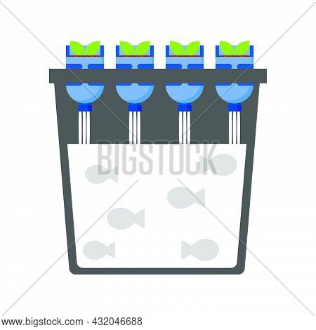 Aquaponic Using Recycled Plastic Botle And Fish Farming On The Water Bucket