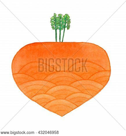 Root Crop. Watercolor Illustration Of Carrot With Halm