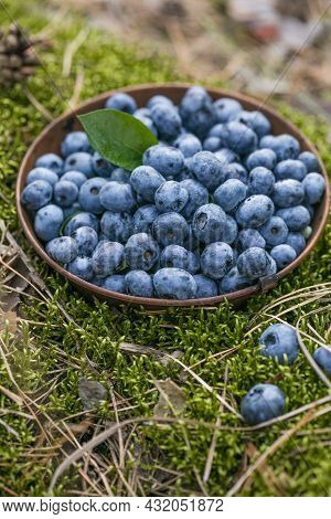 Freshly Picked Blueberries In Bowl On Forest Moss Background. Concept Of Healthy Eating. Bilberries.