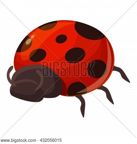 Spotted Beetle Icon Cartoon Vector. Ladybug Insect. Ladybird Plant