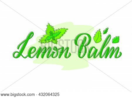 Vector Illustration Of Lemon Balm Lettering For Packages, Product Design, Banner, Spice Shop, Pharma