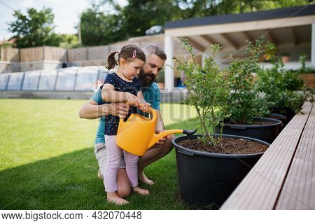 Father And Small Daughter Outdoors In Tha Backyard, Watering Plants.
