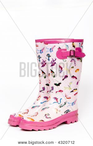 Par de botas de Wellington de senhoras