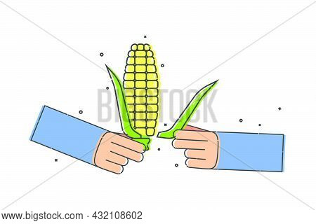 Yellow Corn Cob In Human Hand. He Tears Off A Leaf Of The Plant With His Fingers. Organic Vegetable