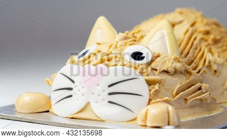 Cake Cat,madeira Sponge, Layered And Coated With Caramel Flavour Frosting, Finished With Edible Suga