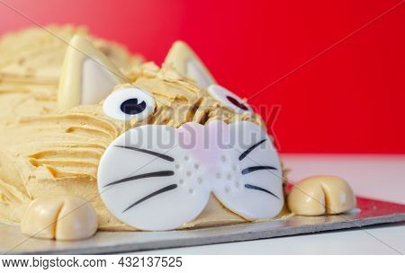 Cake Cat,madeira Sponge, Layered And Coated With Caramel Flavour Frosting, Finished With Edible Suga