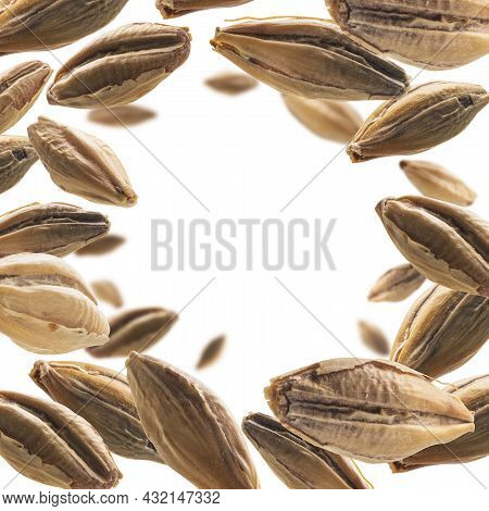 Barley Malt Grains Levitate On A White Background