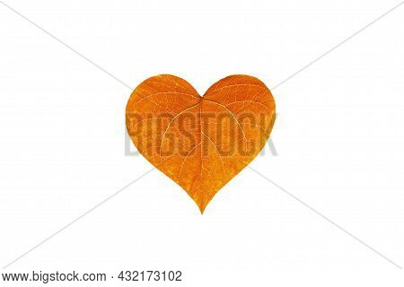 One Single Orange Leaf Of Tree In Heart Shape Isolated Against White Background.autumn Nature And Ec