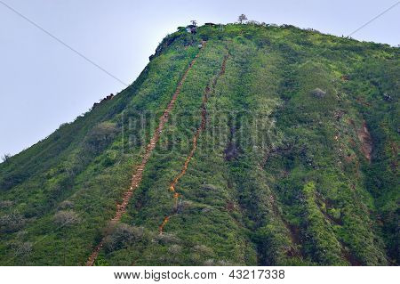 山