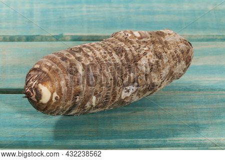 Malanga Edible Tuber - Root Of The Plant Called Colocasia Esculenta