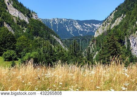  Summer landscape in the Carpathians, Pestera Village, Romania, Europe                            