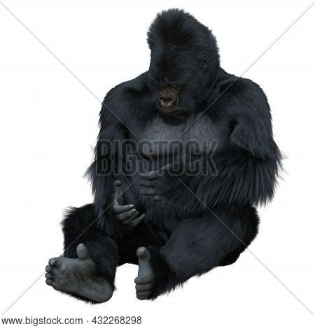 Black Silver Gorilla 3d Illustration Isolated On White