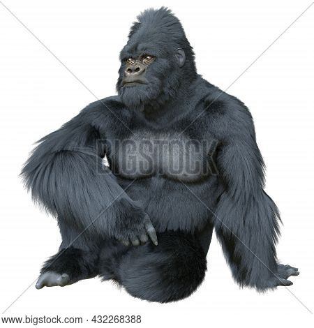 Black Silver Gorilla 3d Illustration Isolated On White