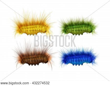 Vector Set Of Different Colorful Green, Yellow, Brown, Blue Furry Caterpillars Side View Isolated On