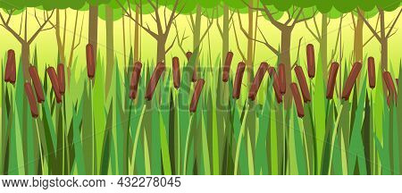 Thickets Of Reeds In The Forest. Swampy Wild Landscape. Overgrown Pond Against The Background Of Tre