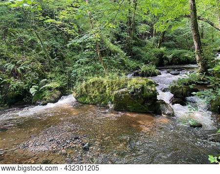 Gorges of the monne river in the green forest, olloix, Puy-de-DÃ´me, Auvergne
