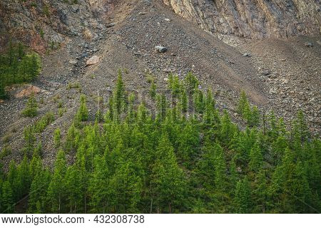 Minimalist Alpine Landscape With High Mountain Wall With Green Forest On Rocks. Scree Above Conifero